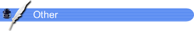 Other.png